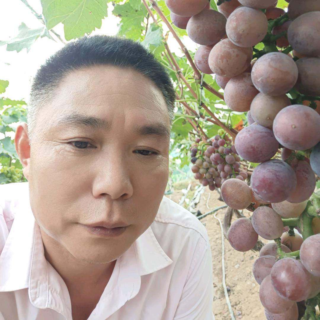 笑看林生