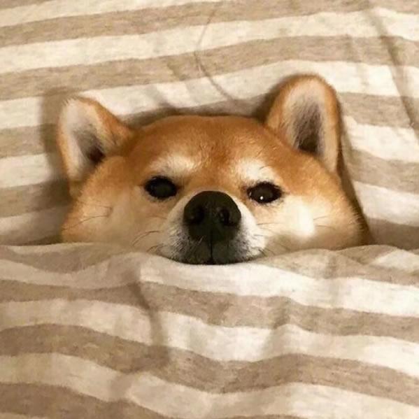 瞧瞧这是啥？