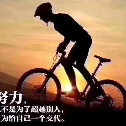 高原雪狼696337514
