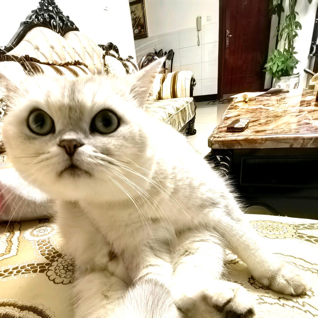 無為