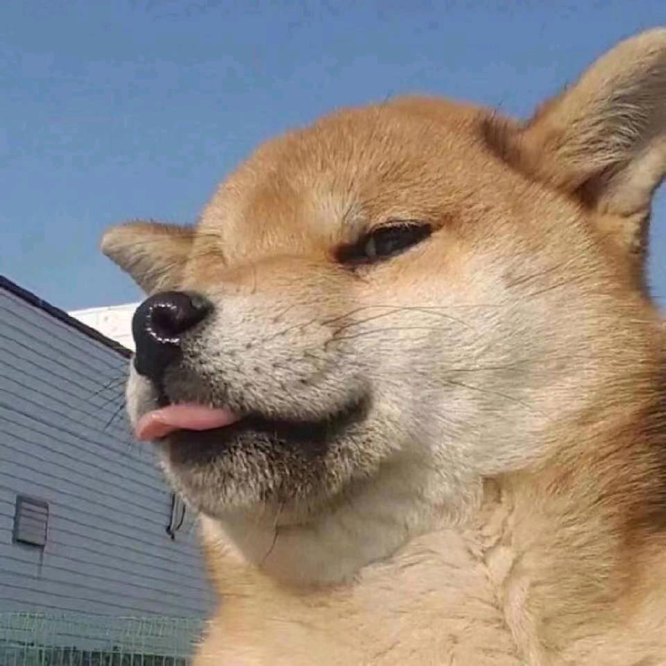 恁李叔