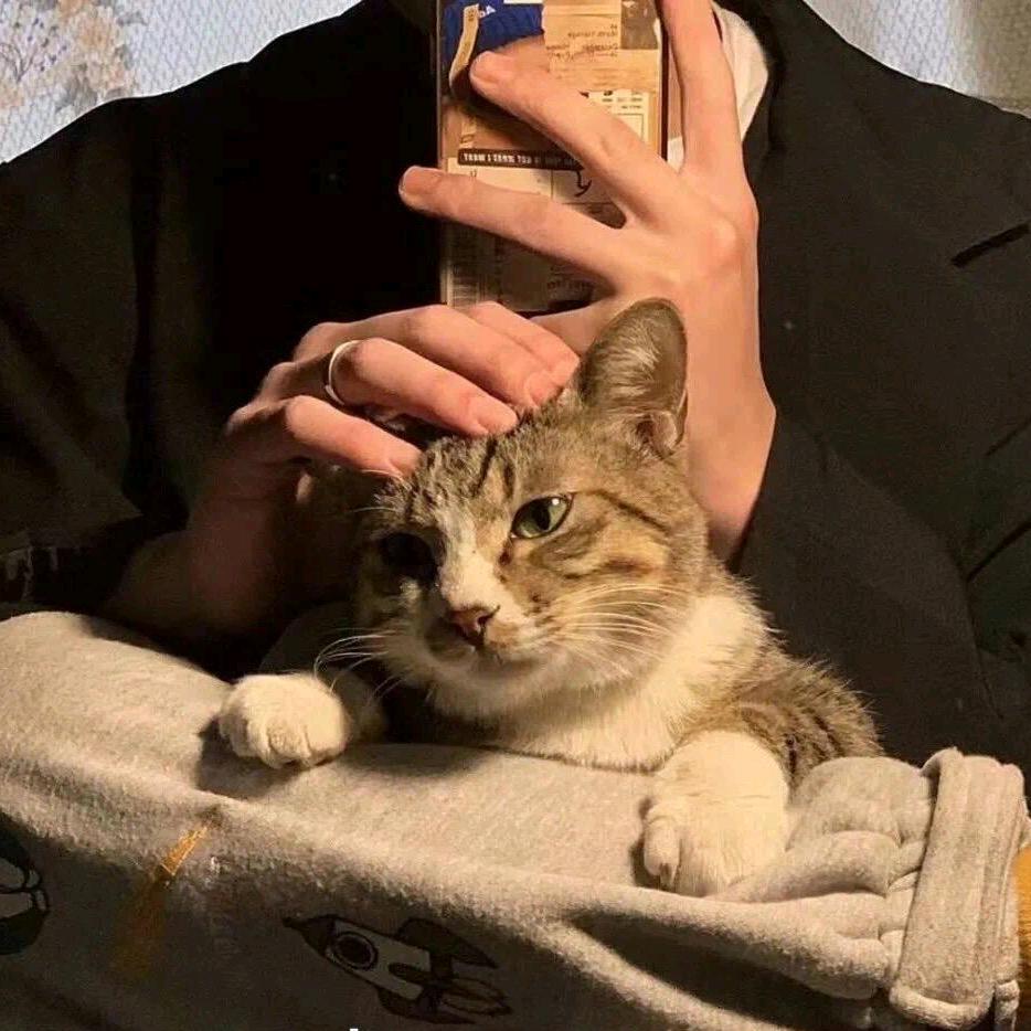 邢台美国动力苏打酒