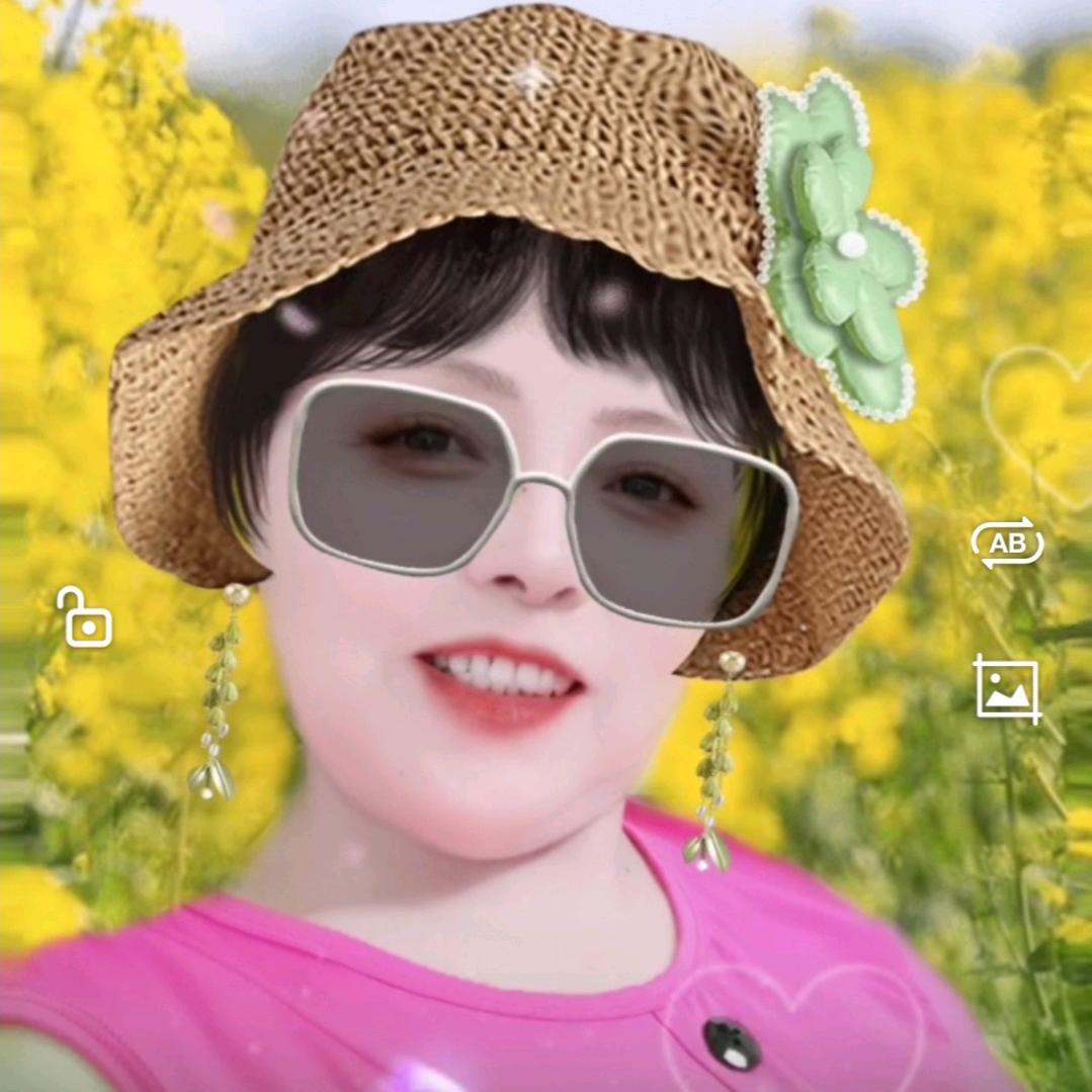 九月菊