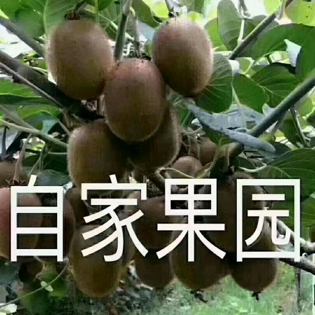 不欠 ☘️不念☘️