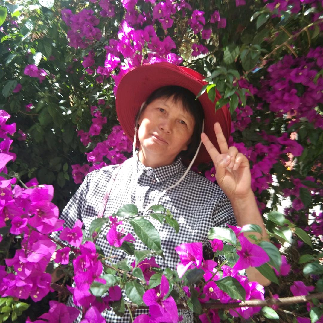 小石头奶奶
