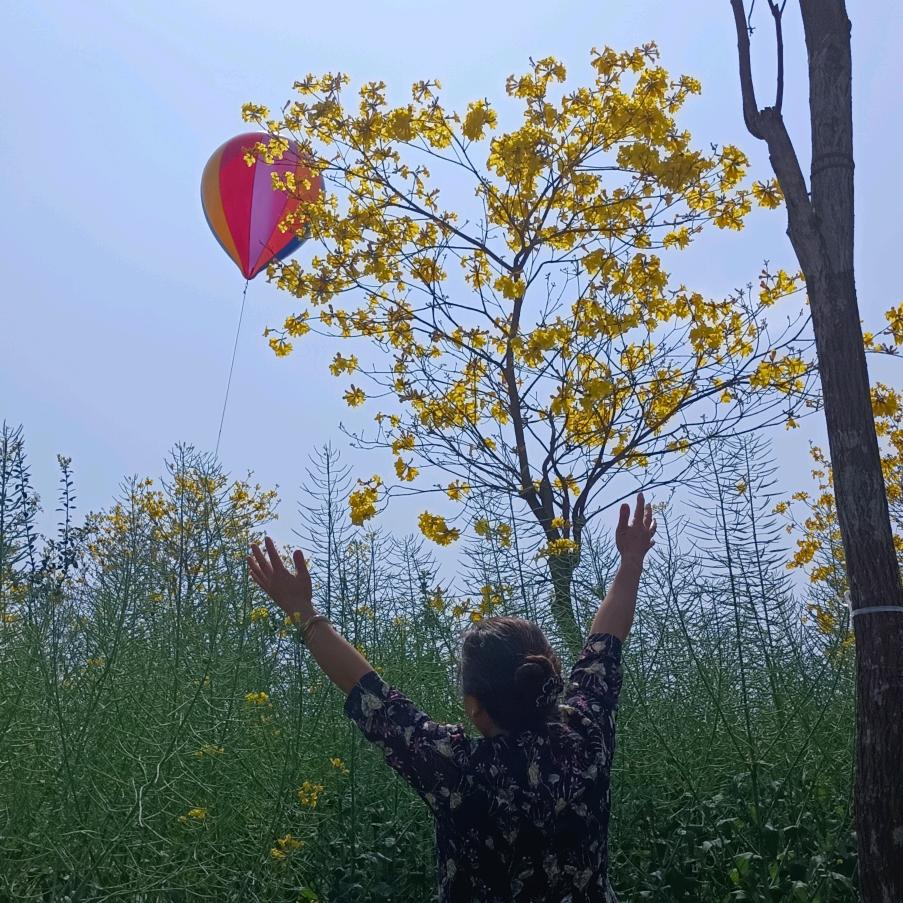 月丽