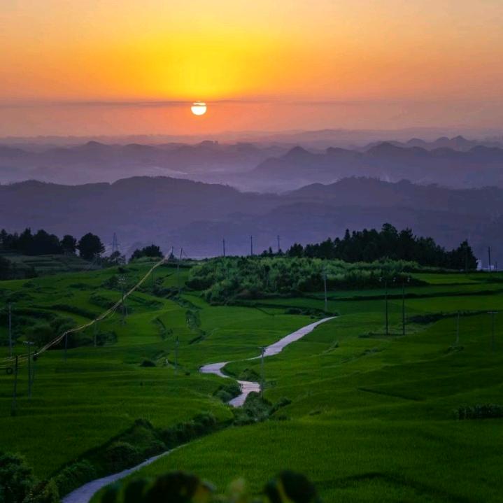啊岳