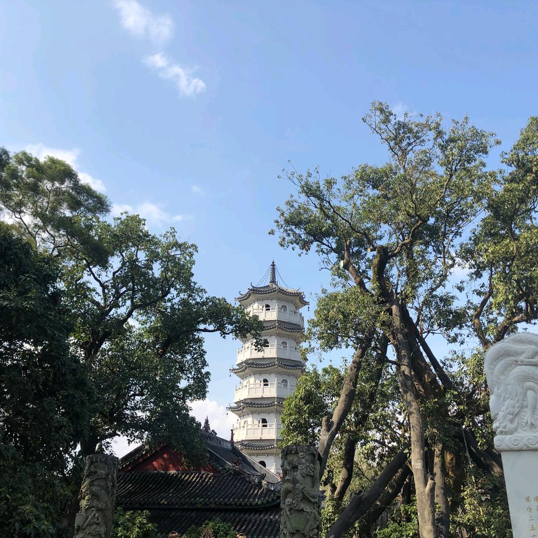 高手高手高高手