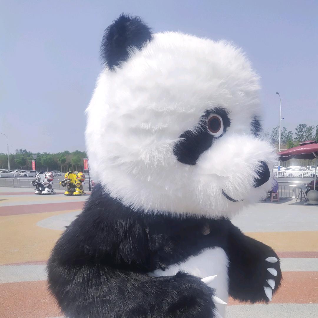 马小涛