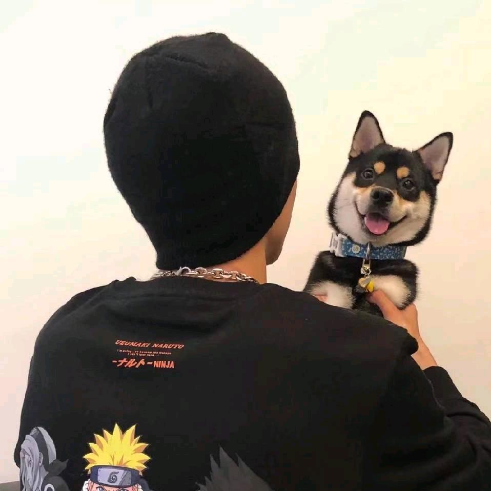 清风.