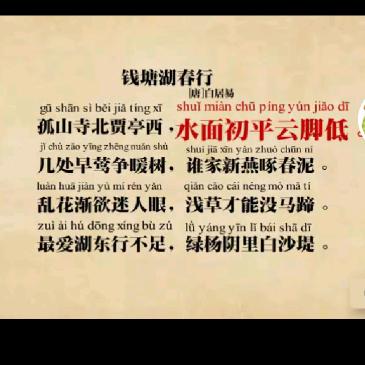 钱儿