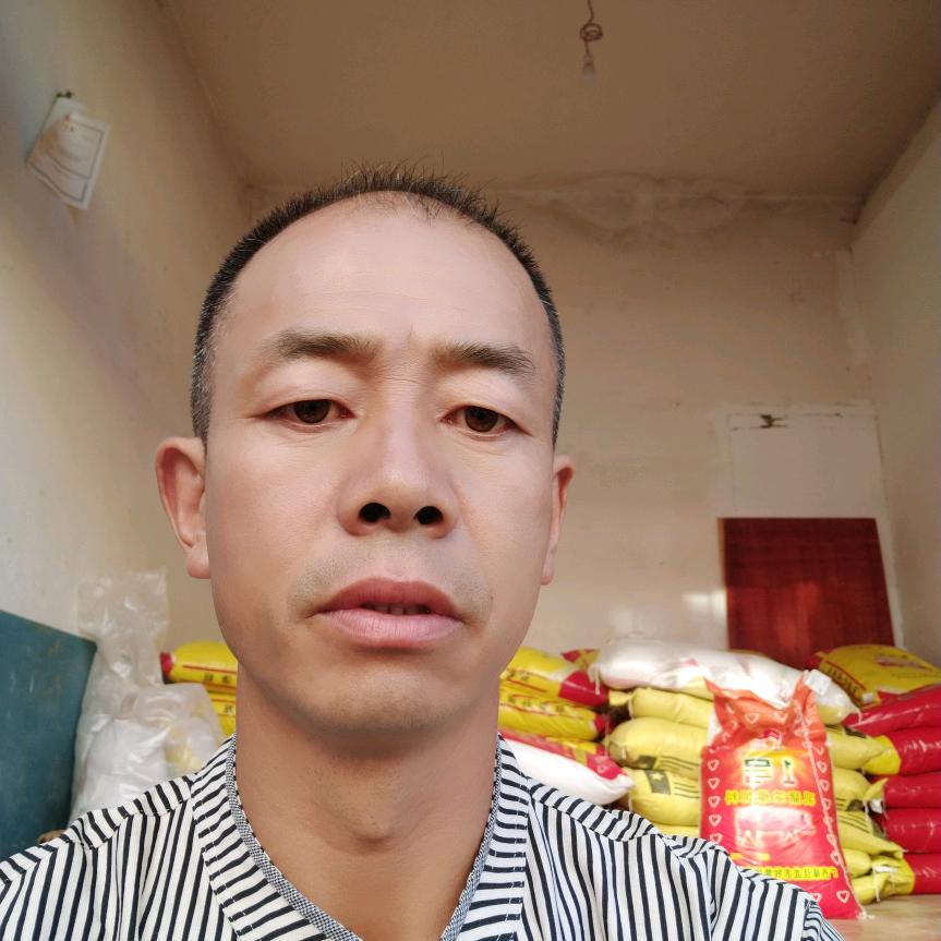 织金金龙‘饲料哥