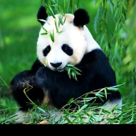 人间观察者  6887044331