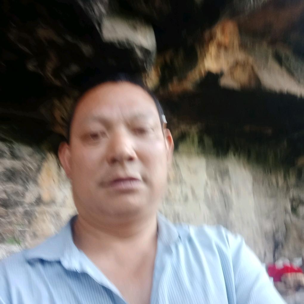 大懒羊