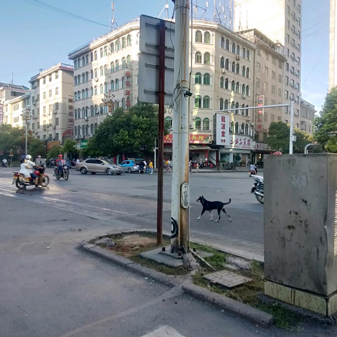 湘礼相亲