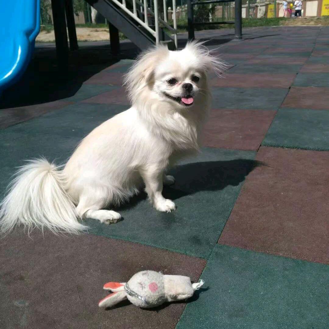 最心爱的aby