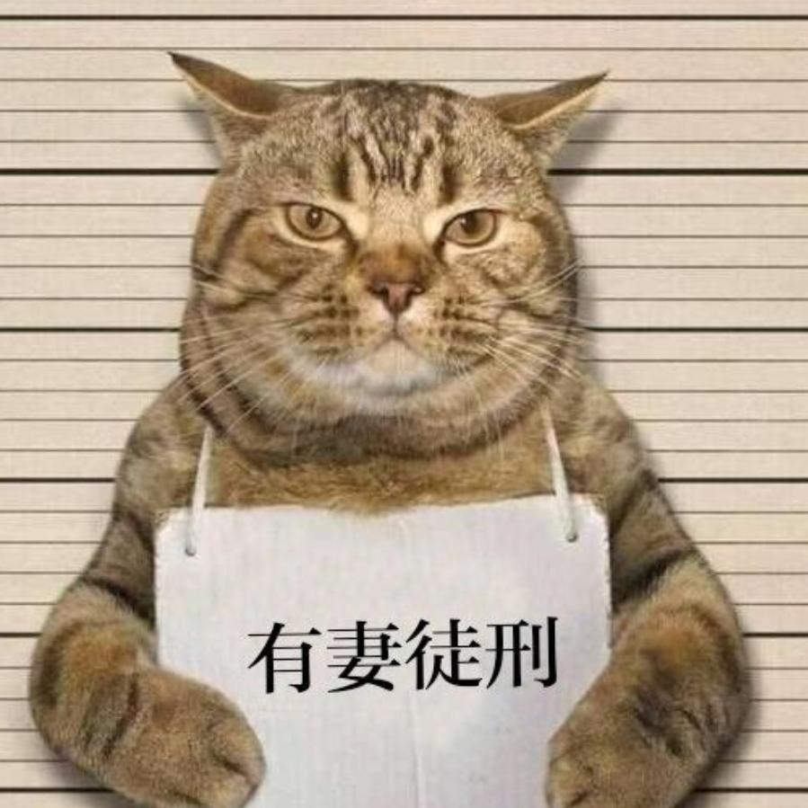 素材素材