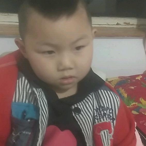 飞哥