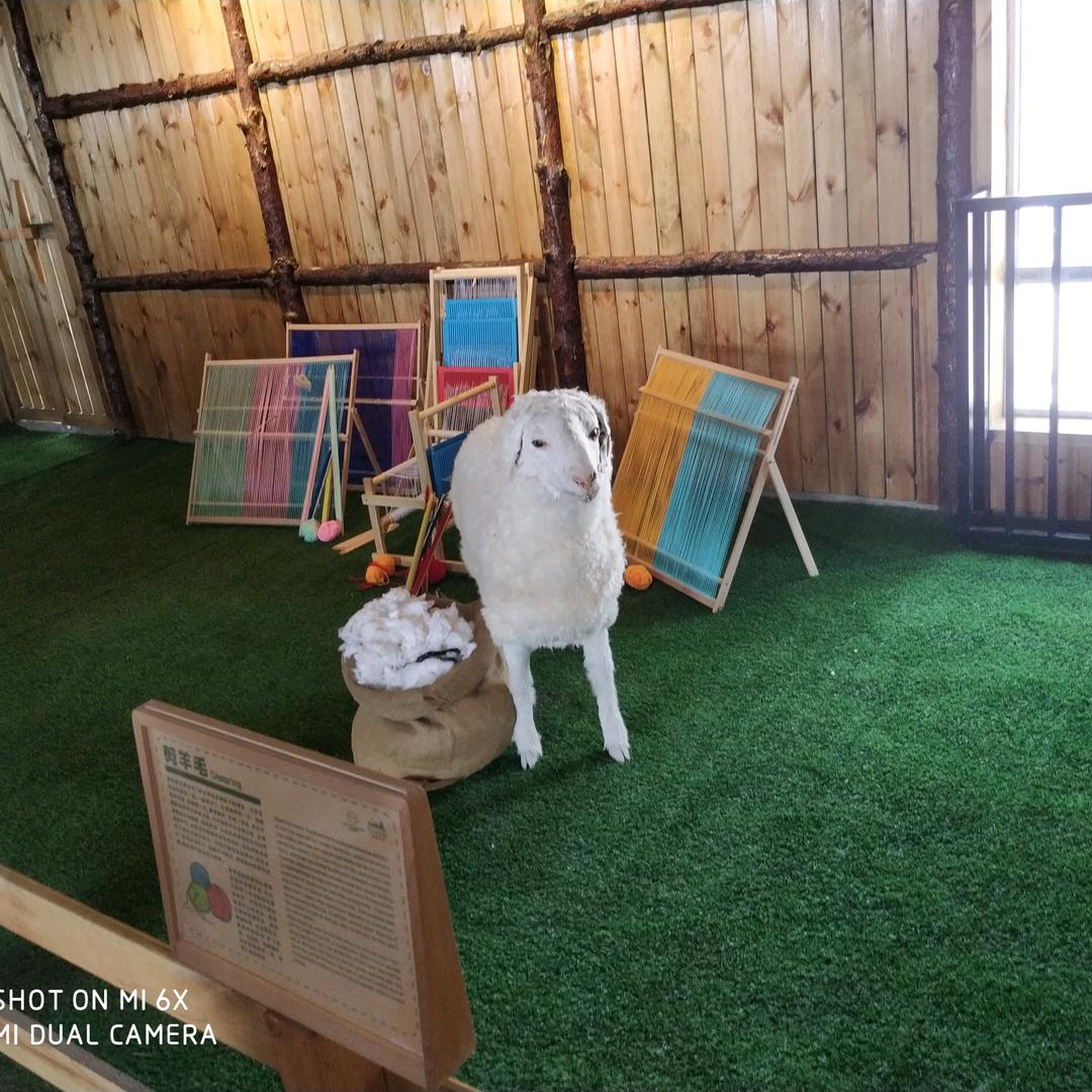 王小四儿