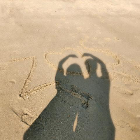 小赵的生活日记