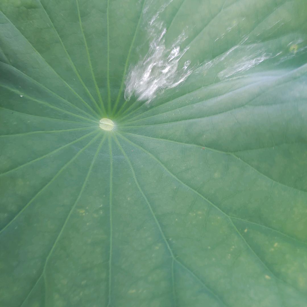 生活就要忙忙碌碌