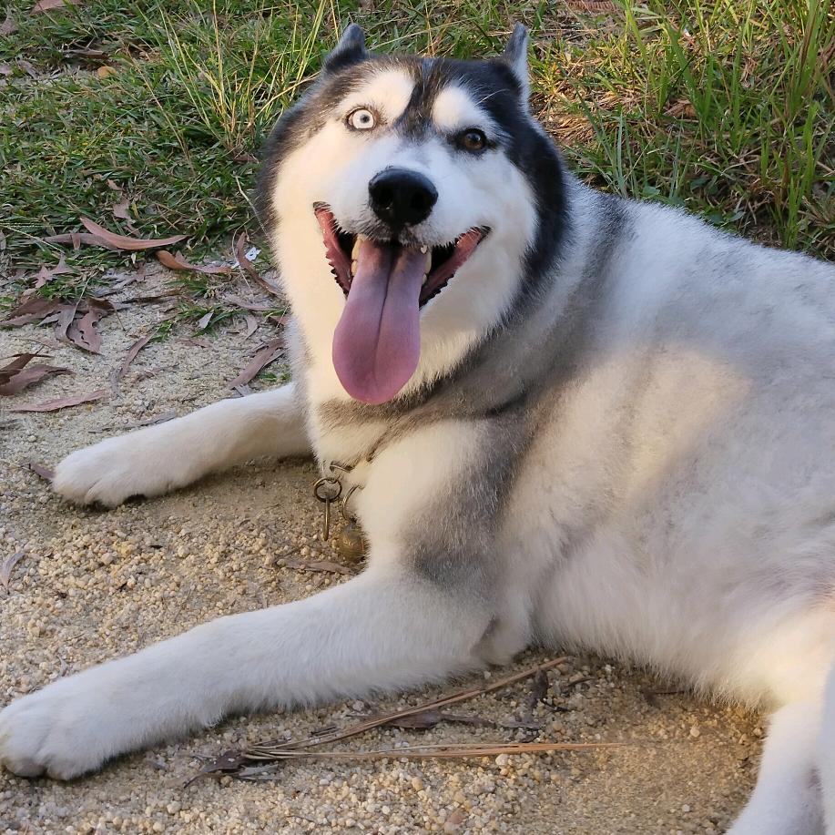 天气不好呀。。。