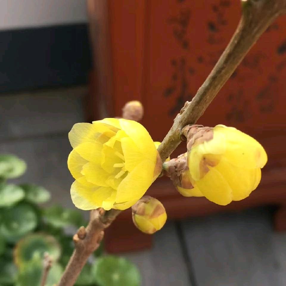 惠（顺运管道）