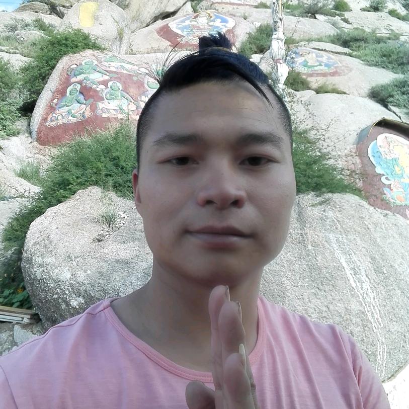 随金灵悟