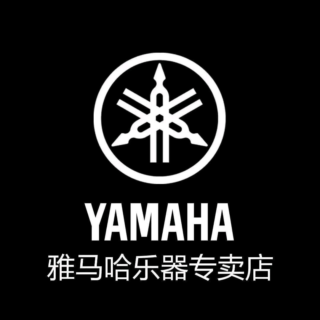 喀什市艺峰琴行