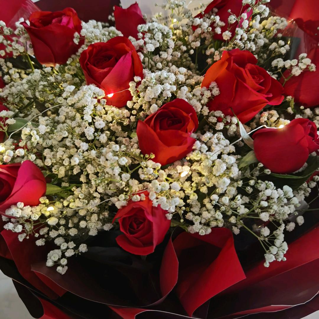 心之所向便是光