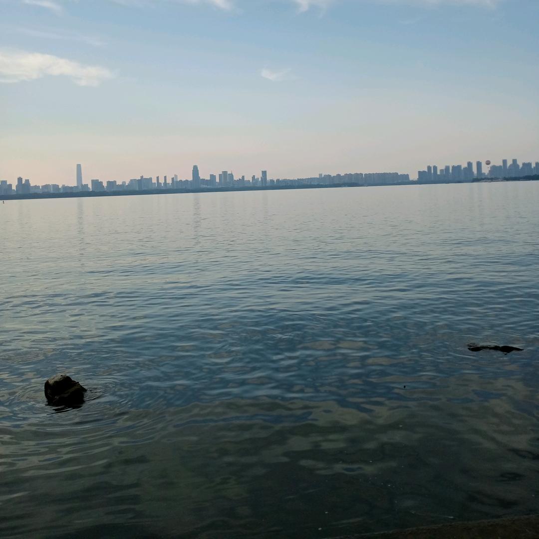 骑着牛儿去旅行