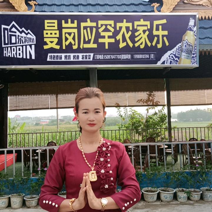 景洪嘎洒曼岗应罕农家乐