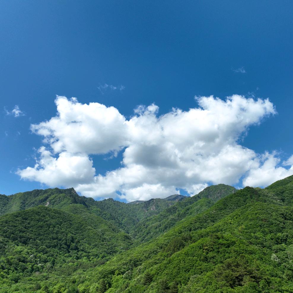 秦岭一山
