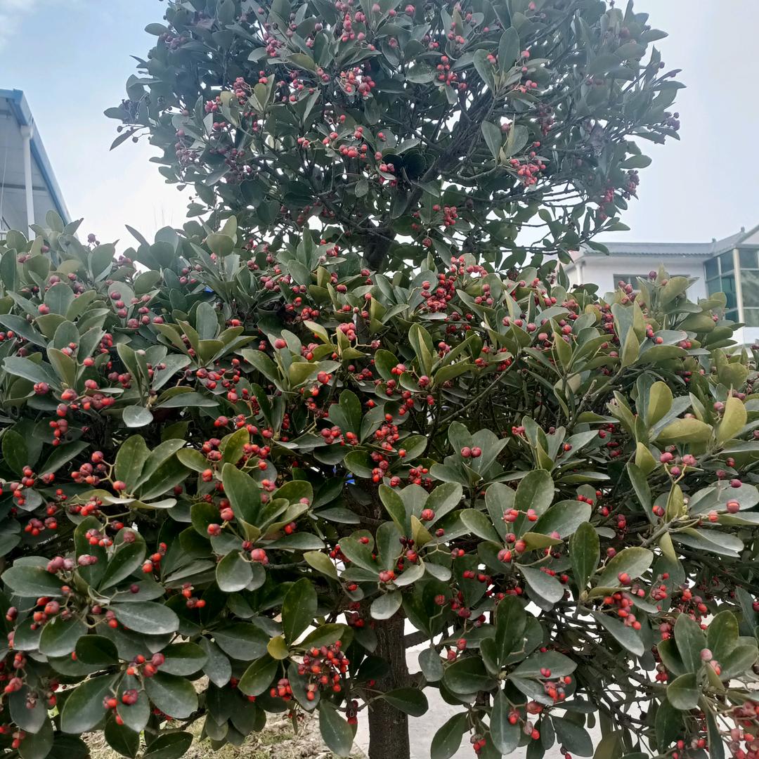 水宽由鱼浪，天空任鸟飞9234829