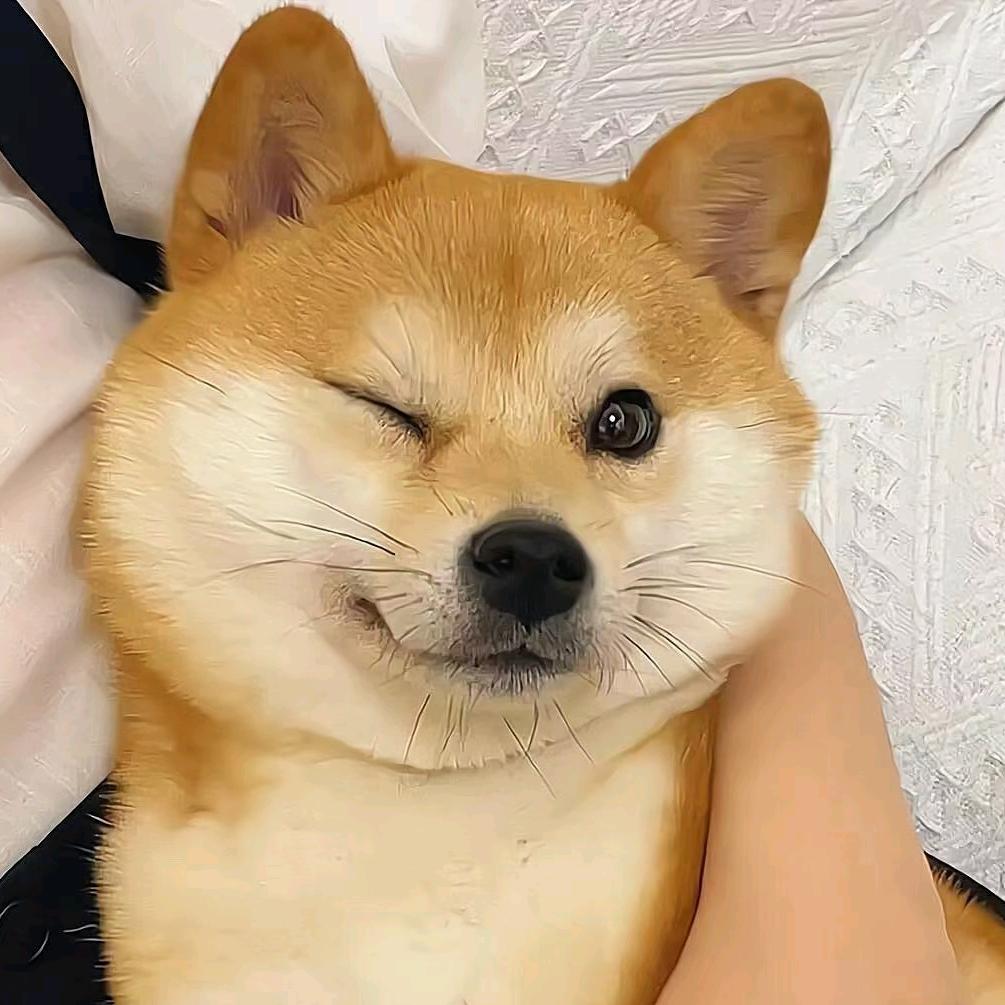 宋宋的爱