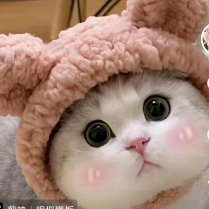 钱西西