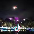 太阳当红照