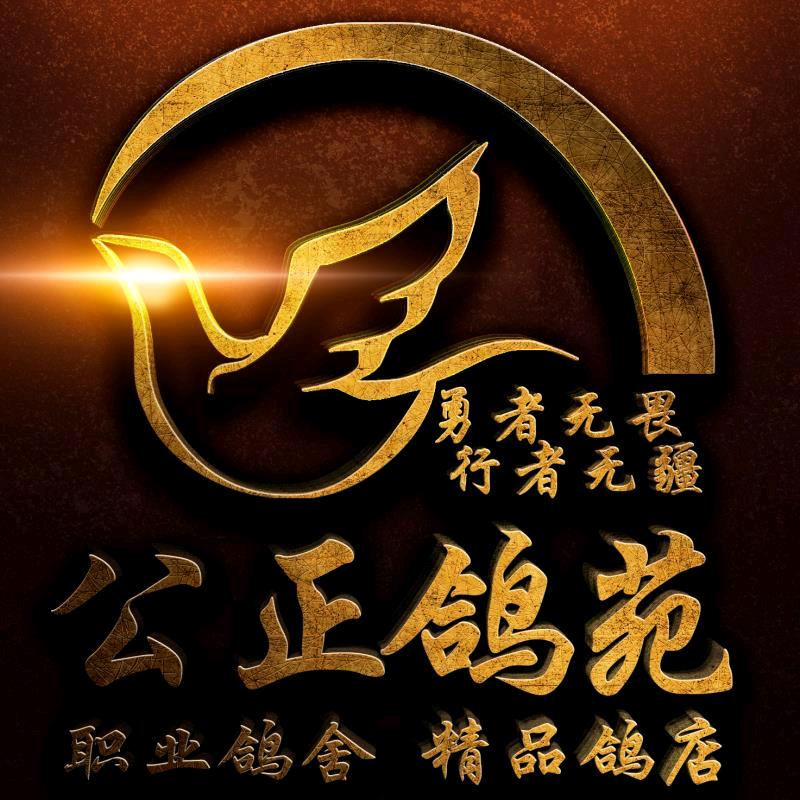 正鸽