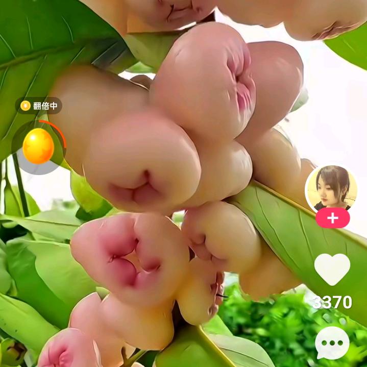 用户5297686262966江哥
