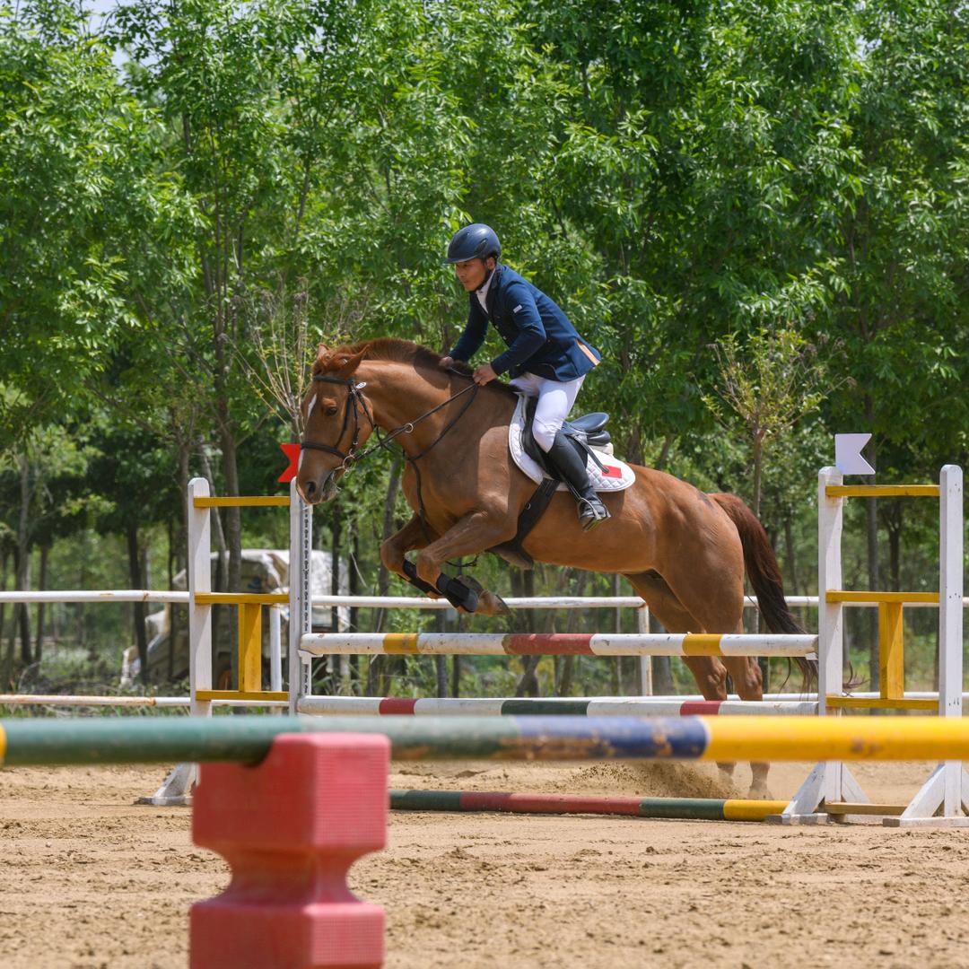 圣地亚马会官方号