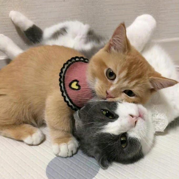 你在，我就在！