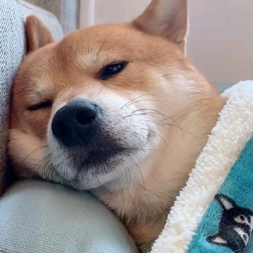 名字前加阿带有亲昵意味