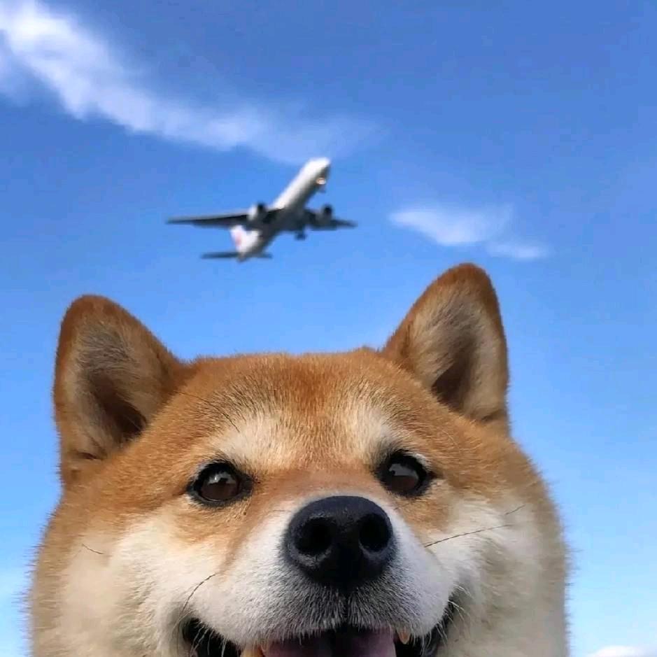 Yc