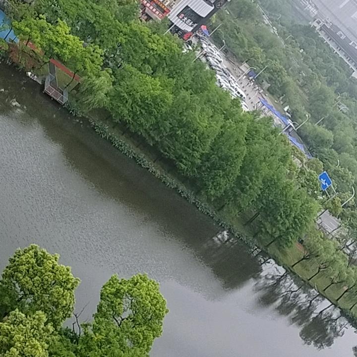 被遗忘的人