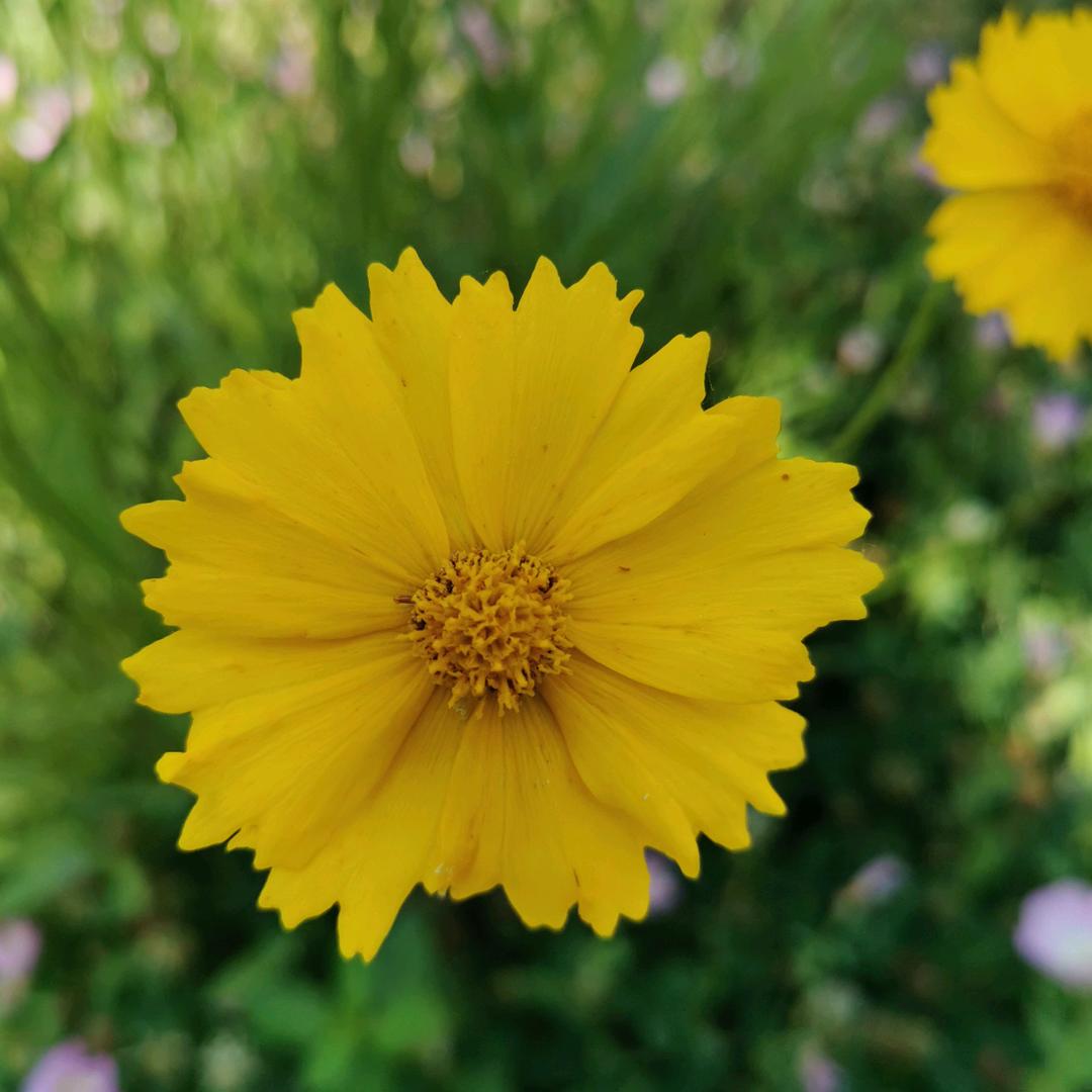 常州健身器材安装与维修