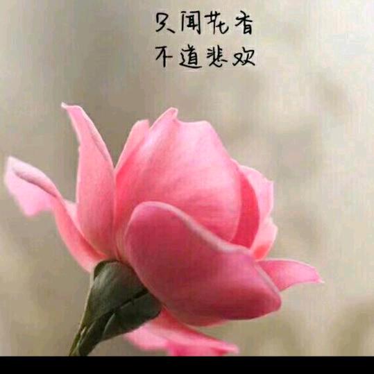 晴素