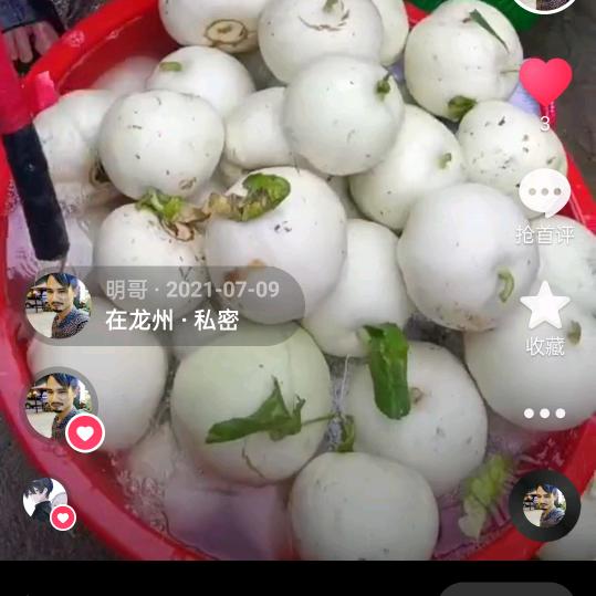明哥