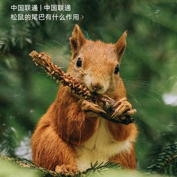 人生赢家