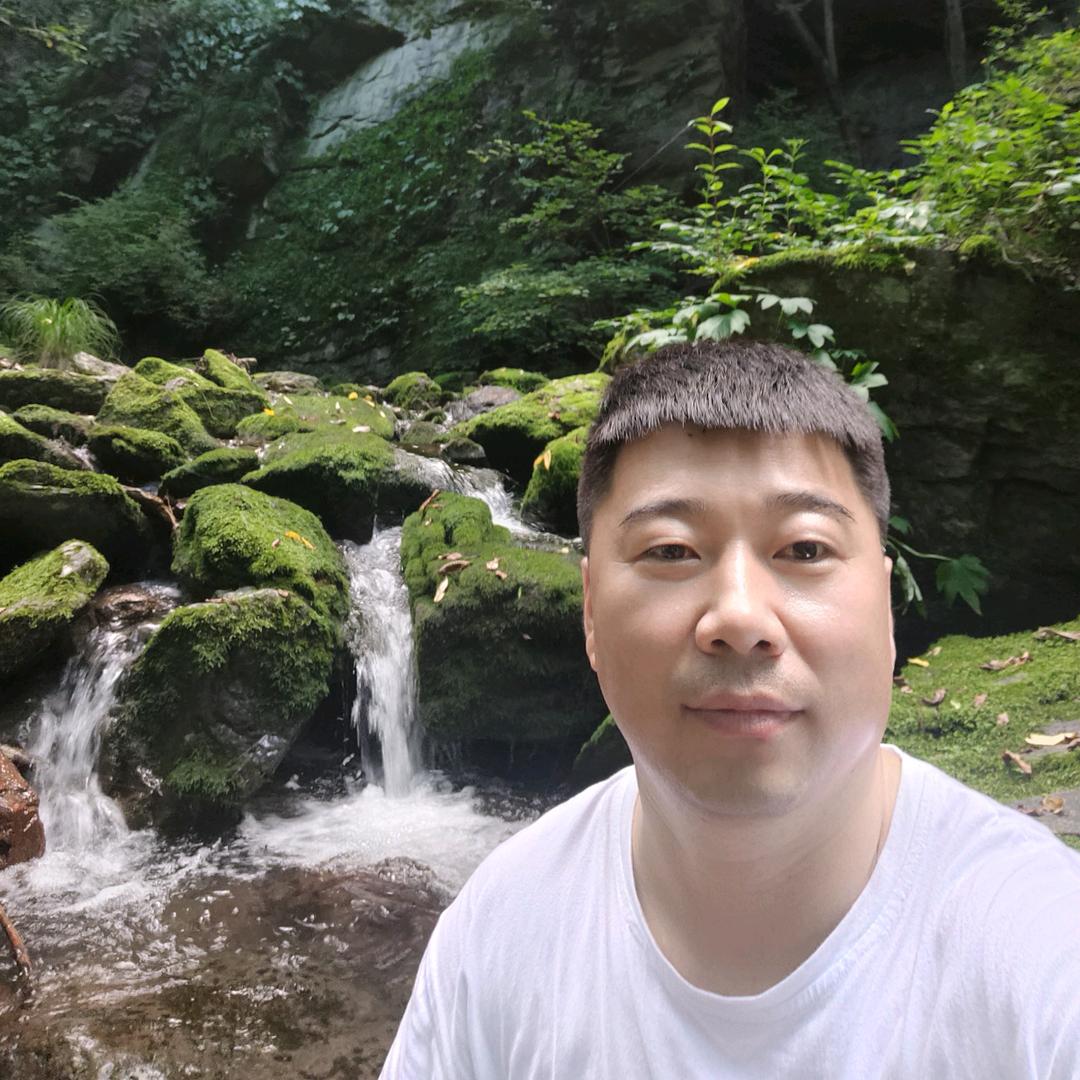 人参 药材 种植