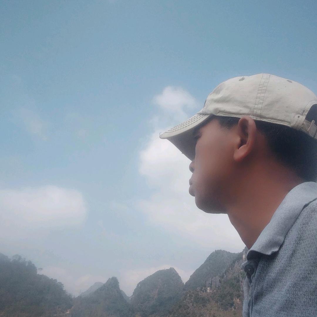 每年樱花开就回来